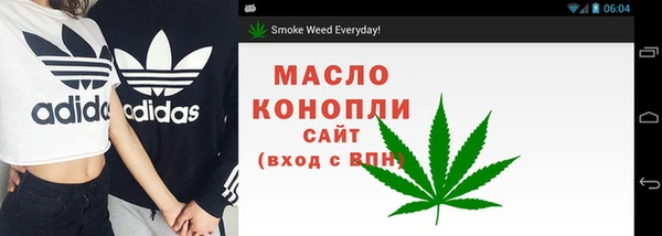 тгк Лагань