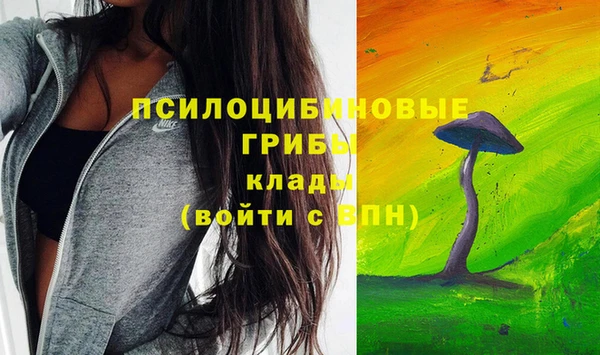 a pvp Алексин